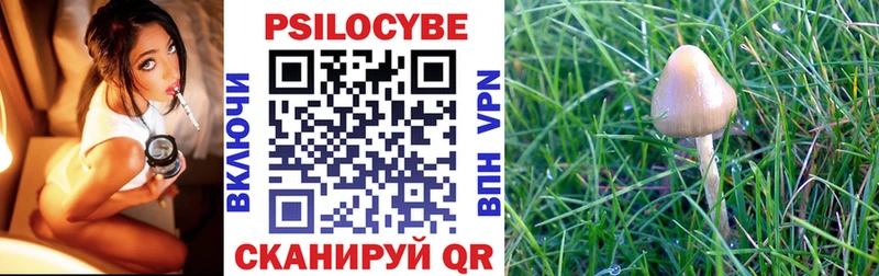 Галлюциногенные грибы мицелий Сибай