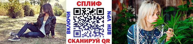 Шишки марихуана гибрид купить наркоту Сибай